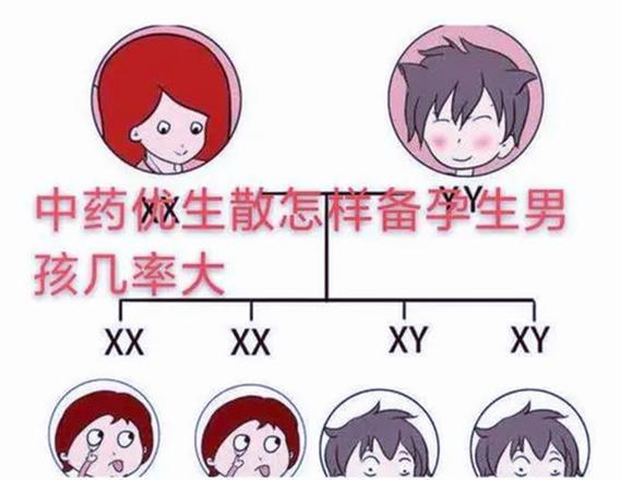 包生男孩怎么找_包生男孩怎么找攻略大揭秘